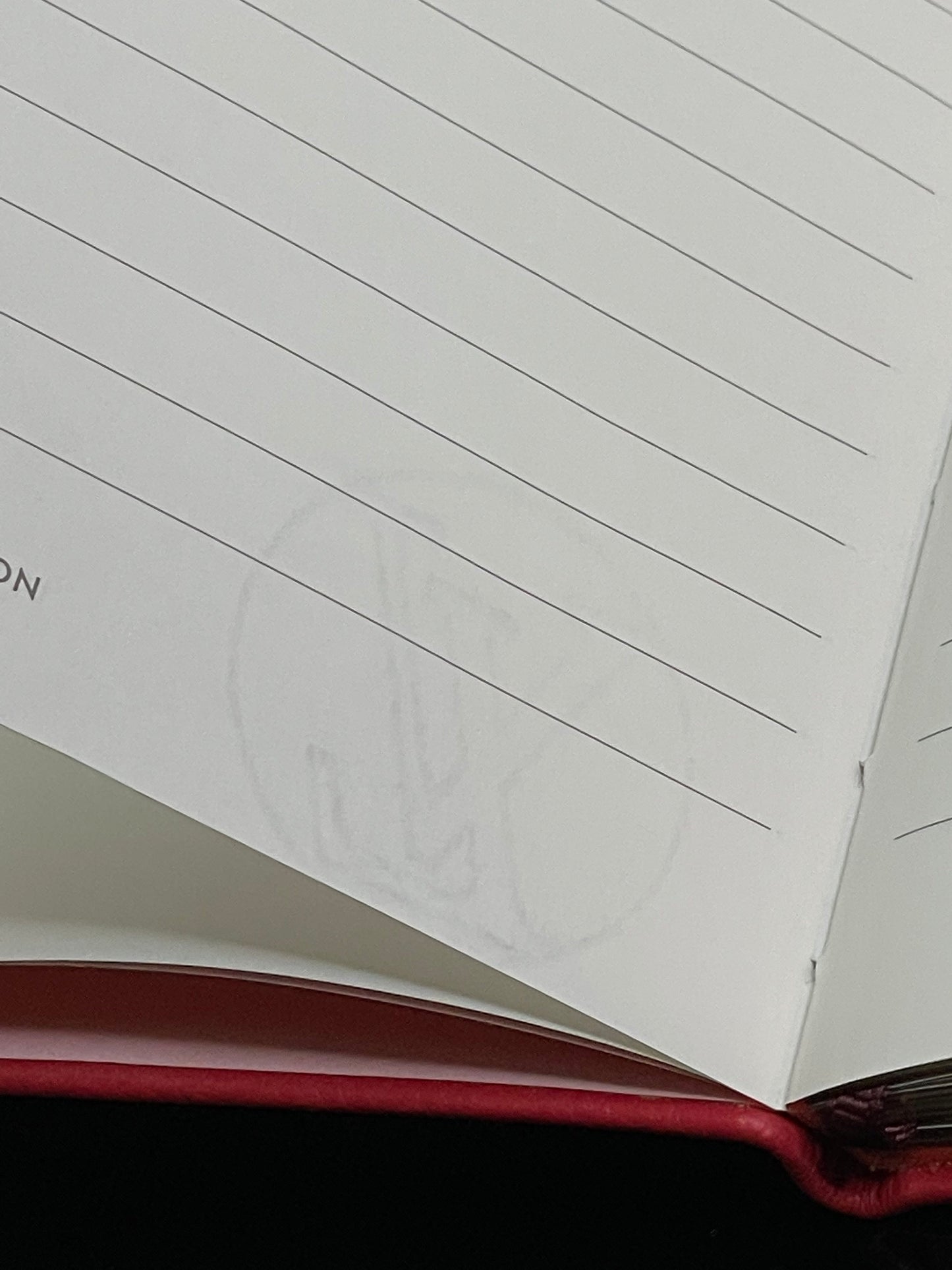 Authentic Louis Vuitton Red Leather Trunks Travel Journal Notebook