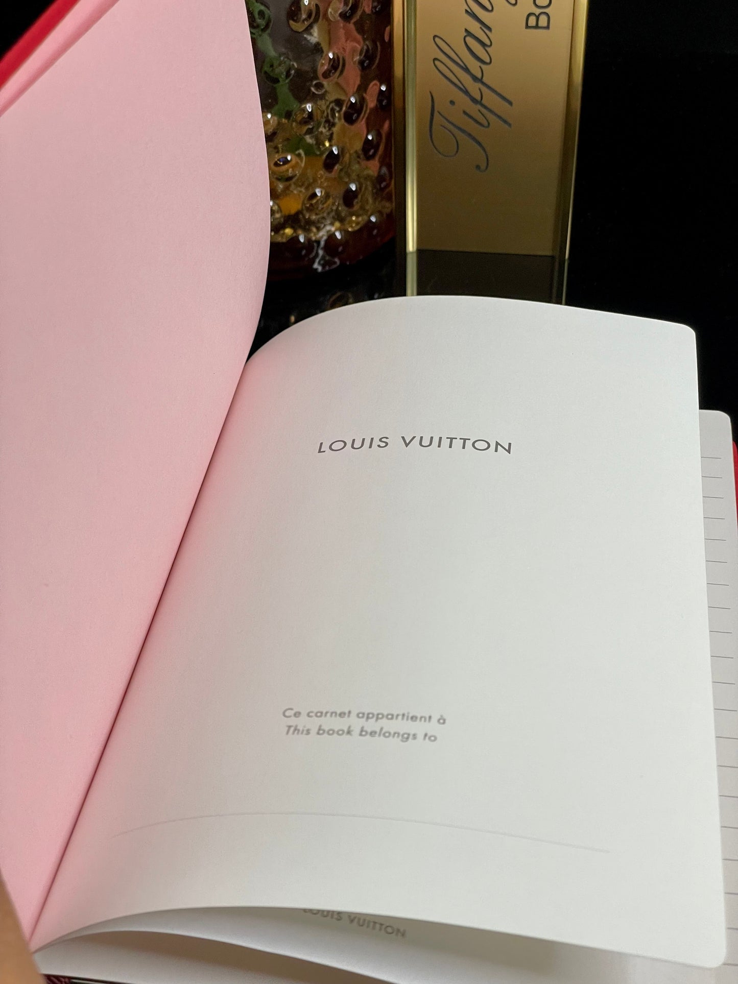 Authentic Louis Vuitton Red Leather Trunks Travel Journal Notebook