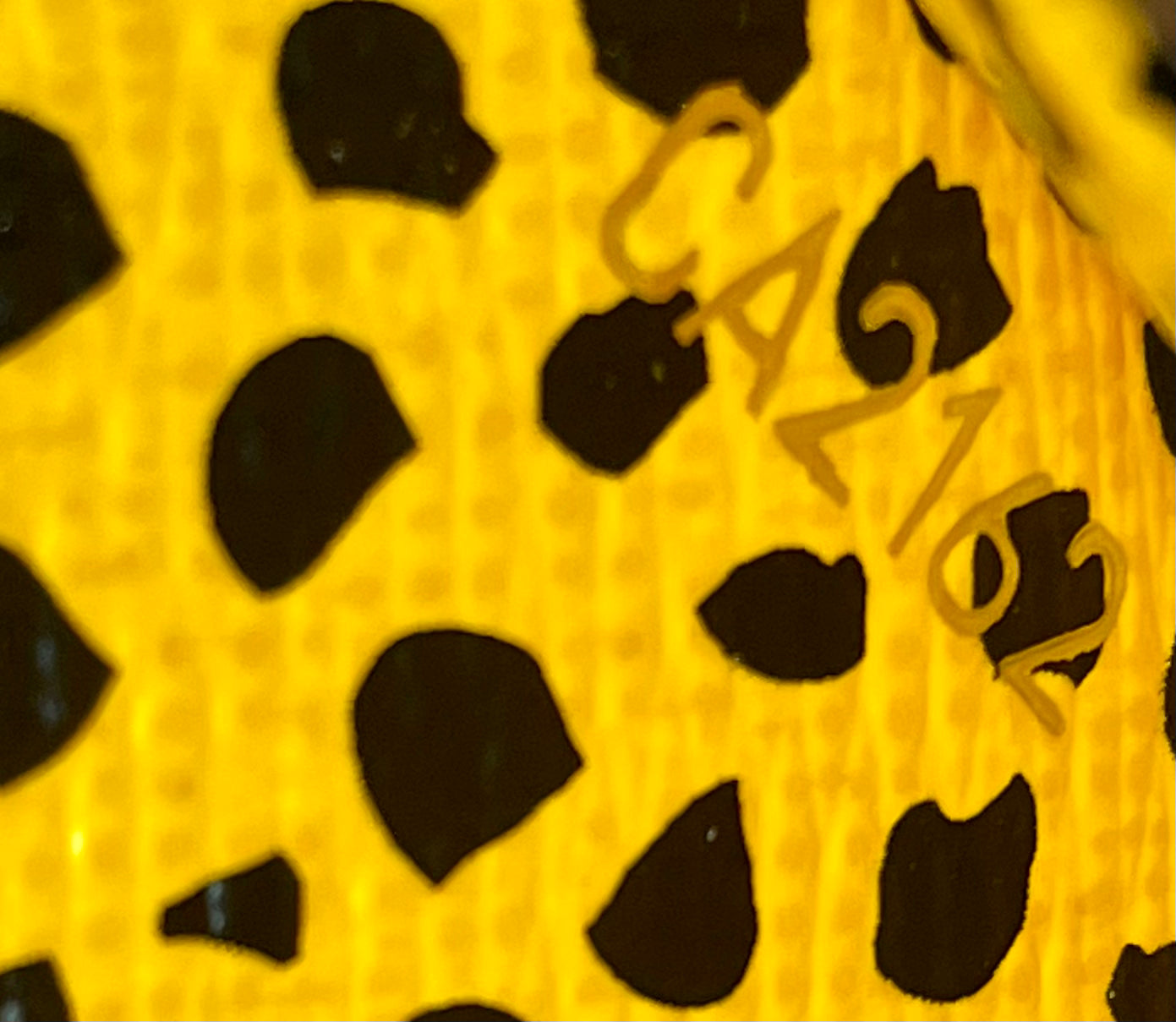Authentic Louis Vuitton x Yayoi Kusama Agenda PM