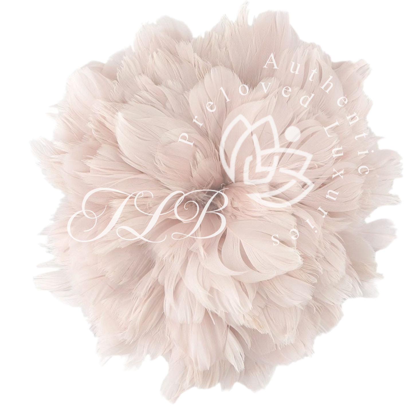 TLB Gift Card