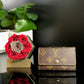 Authentic Louis Vuitton Monogram 6 Key Holder