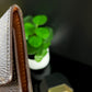 Authentic Louis Vuitton Monogram 6 Key Holder